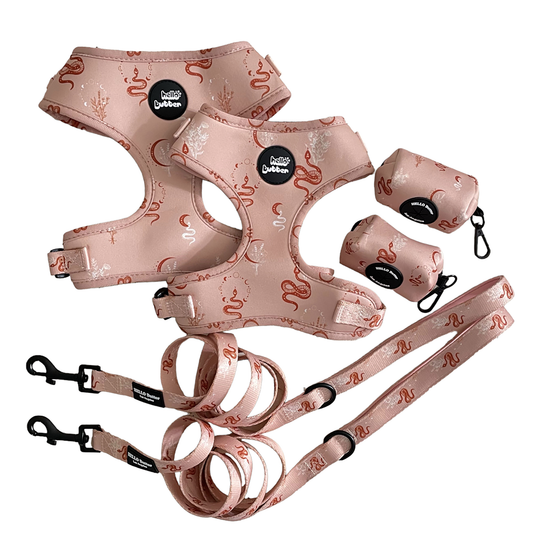 HOBO Pink Moon Snake - Dog Harness SET