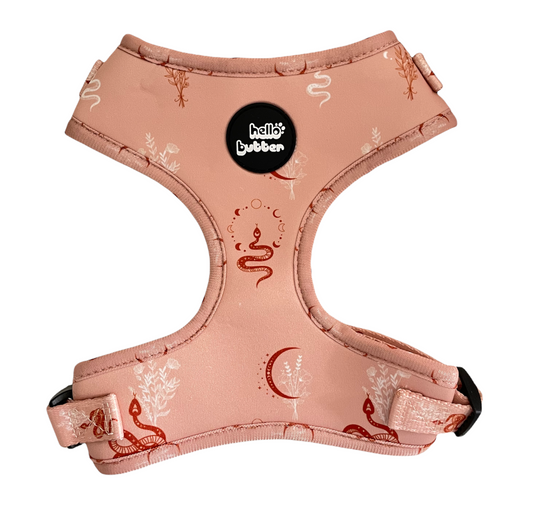 HOBO Pink Moon Snake - Dog Harness