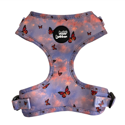 Sunset Butterfly - Dog Harness