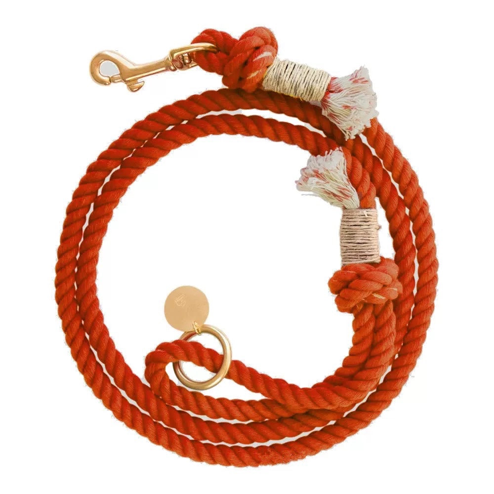 Rope Leash - Fall Terracotta