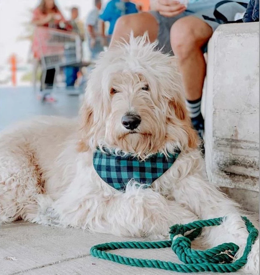 Rope Leash - Fall Terracotta