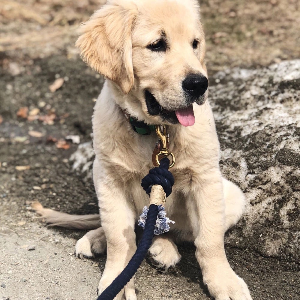 Rope Leash - Fall Terracotta