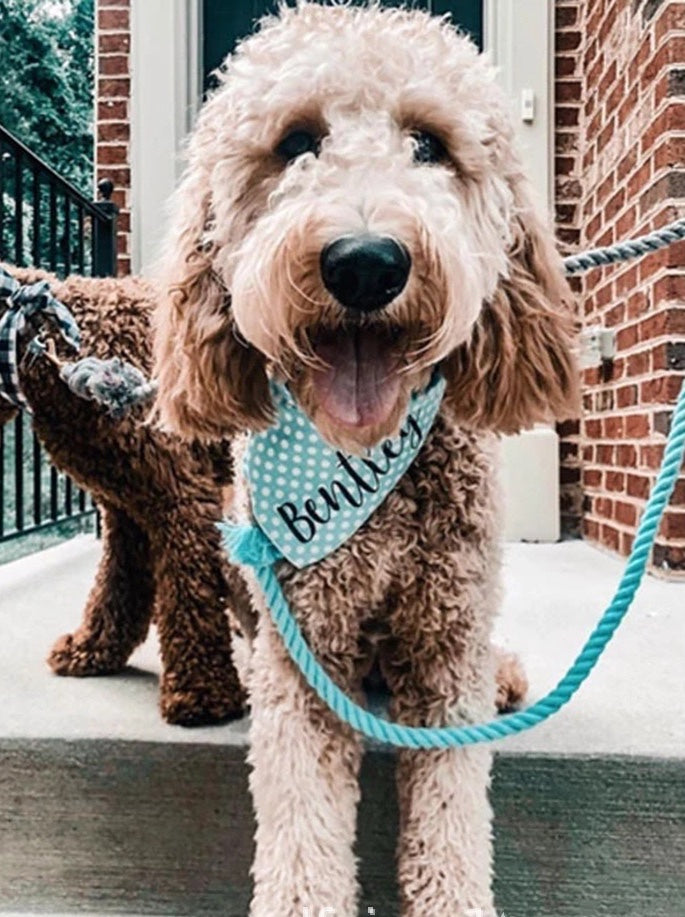 Rope Leash - Fall Terracotta